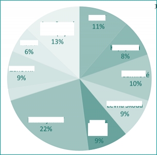 Pie chart segmentace